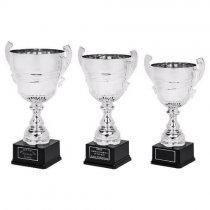 Collosus Silver Presentation Trophy Cup with Handles | Metal Bowl | 540mm | B60