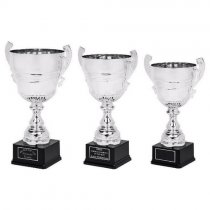 Collosus Silver Presentation Trophy Cup with Handles | Metal Bowl | 510mm | B60