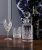 Royal Scot Edinburgh Crystal | Small Wine | Box of 4 - EDB4SW
