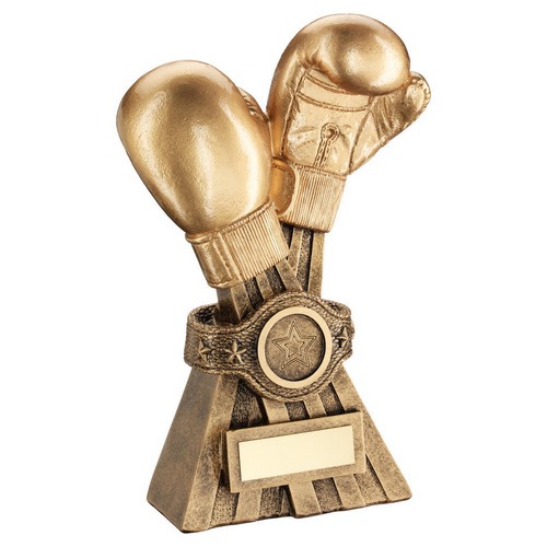 Lonsdale Boxing Trophy | 203mm |