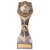 Falcon Football Player of the Year Trophy | 220mm | G25 - PA20046D
