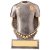 Falcon Football Shirt Trophy | 105mm | G9 - PA20051A