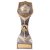 Falcon Football Winner Trophy | 220mm | G25 - PA20066D