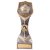 Falcon Football Winner Trophy | 220mm | G25 - PA20066D