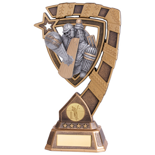 Euphoria Cricket Player Trophy | 210mm | G7