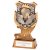 Titan Football Trophy | 150mm | G7 - PA22173B