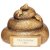 Stinky Poo Resin Trophy | 70mm | G7 - RF22119A