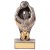 Falcon Netball Player Trophy | 150mm | G9 - PA20041B