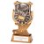 Titan Boxing Trophy | 150mm | G7 - PA22067B