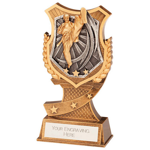 Titan Karate Trophy | 175mm | G9