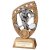 Patriot Ice hockey Resin Trophy Plaque | 180mm | G25 - RF22082B