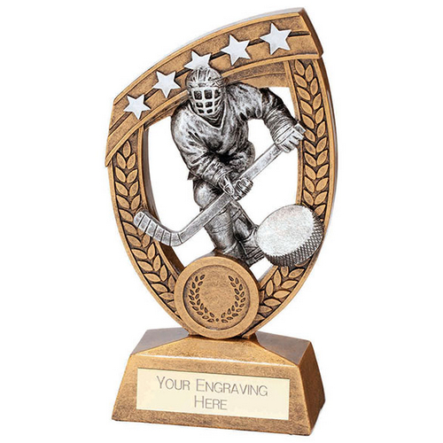 Patriot Ice hockey Resin Trophy Plaque | 180mm | G25