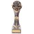 Falcon Archery Trophy | 240mm | G25 - PA20090E