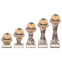 Falcon School Reading Trophy | 190mm | G9