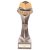 Falcon School Reading Trophy | 240mm | G25 - PA22078E