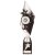 Pizzazz Plastic Trophy | Silver & Black | 325mm | S25 - TR20518D