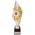 Pizzazz Plastic Trophy | Silver & Gold | 300mm | E4294C - TR20520C