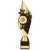 Pizzazz Plastic Trophy | Gold & Black | 300mm | E4293C - TR20526C