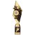 Pizzazz Plastic Trophy | Gold & Black | 325mm | G25 - TR20526D