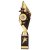 Pizzazz Plastic Trophy | Gold & Black | 350mm | G25 - TR20526E