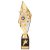 Pizzazz Plastic Trophy | Gold & Silver | 325mm | G25 - TR20531D