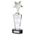 Chicago Crystal & Chrome Trophy | 270mm | S7 - CR17106B