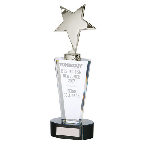 Chicago Crystal & Chrome Trophy | 270mm | S7