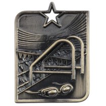 Centurion Star Swimming Medal | Gold | 53 x 40mm