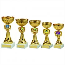 Foxie Gold Bowl Trophy | Metal Bowl | 200mm | G7