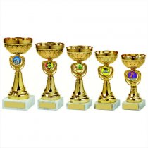 Foxie Gold Bowl Trophy | Metal Bowl | 200mm | G7