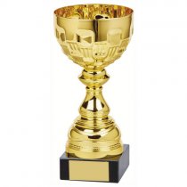 Ely Gold Bowl Trophy | Metal Bowl | 210mm | G24