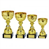 Ely Gold Bowl Trophy | Metal Bowl | 210mm | G24