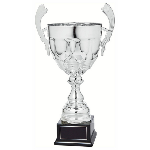 Petal Silver Presentation Trophy Cup With Handles | Metal Bowl | 510mm | B60