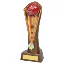 Cobra Red Ball Cricket Trophy | 230mm | G49