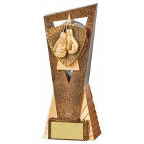 Edge Boxing Trophy | 210mm | G24