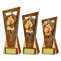 Edge Boxing Trophy | 210mm | G24