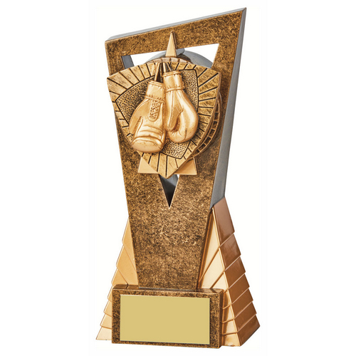 Edge Boxing Trophy | 180mm | G24