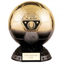 Elite Heavyweight Players Player Trophy | Black & Gold | 185mm | G24
