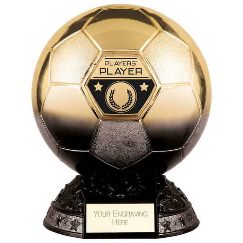 Elite Heavyweight Players Player Trophy | Black & Gold | 185mm | G24