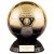 Elite Heavyweight Players Player Trophy | Black & Gold | 200mm | G25 - PM23120D