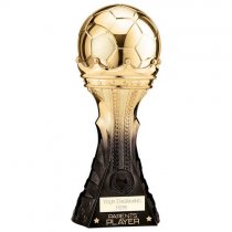 King Heavyweight Parents Player Trophy | Black & Gold | 250mm | G24
