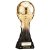 King Heavyweight Parents Player Trophy | Black & Gold | 250mm | G24 - PM23146D
