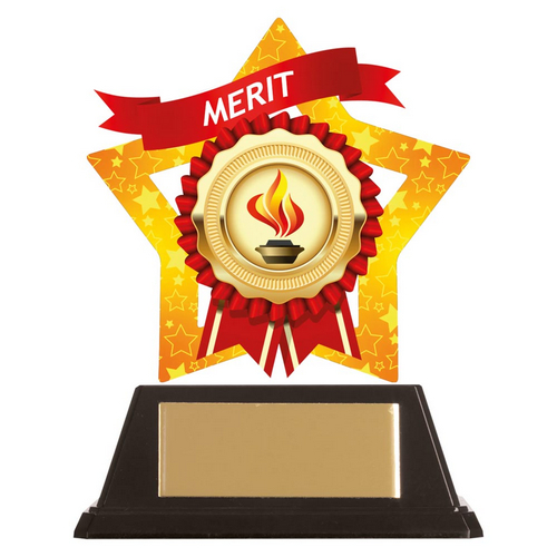 Mini-Star Merit Acrylic Trophy Plaque | 100mm | G6