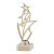Rising Star Multi-Sport Trophy | Gold | 180mm | G7 - TR17545G