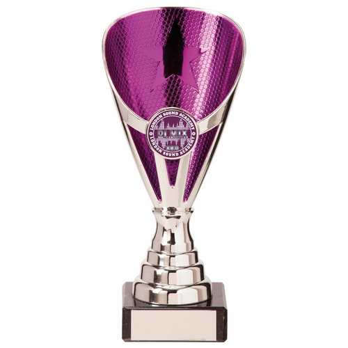 Rising Stars Premium Plastic Trophy | Silver & Purple | 170mm | S7