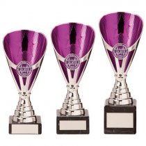 Rising Stars Premium Plastic Trophy | Silver & Purple | 170mm | S7