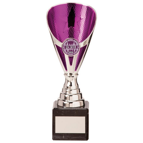 Rising Stars Premium Plastic Trophy | Silver & Purple | 200mm | E4294C
