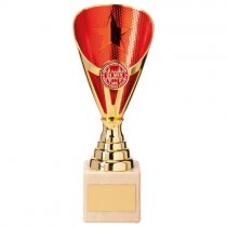 Rising Stars Premium Plastic Trophy | Gold & Red | 200mm | E4293C