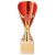 Rising Stars Premium Plastic Trophy | Gold & Red | 200mm | E4293C - TR20543C