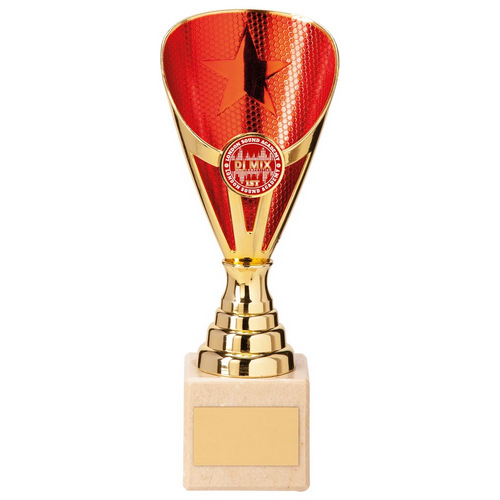 Rising Stars Premium Plastic Trophy | Gold & Red | 200mm | E4293C